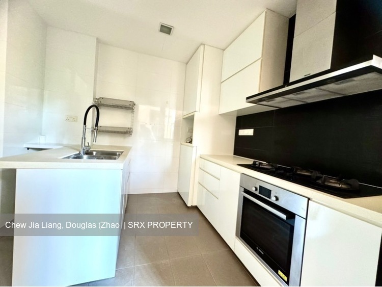 Dover Parkview (D5), Condominium #558080651